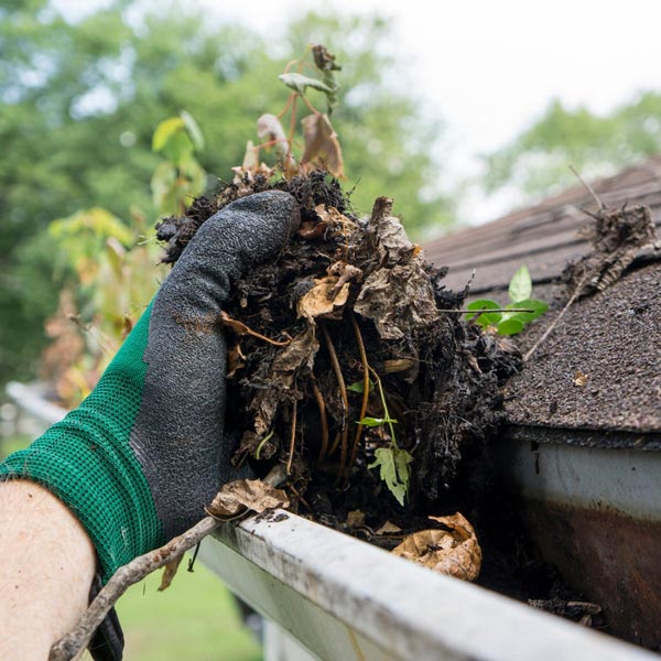 gutter-cleaning
